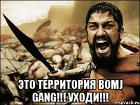  Это территория Bomj Gang!!! Уходи!!!