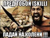 Пред тобой [Skill] Падай на колени !!!