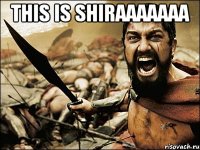 this is Shiraaaaaaa 