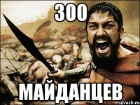 300 МАЙДАНЦЕВ