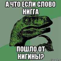 А что если слово нигга пошло от нигины?