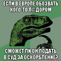 Если в Европе обозвать кого-то п@дором сможет ли он подать в суд за оскорбление?