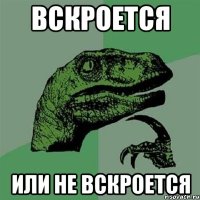 вскроется или не вскроется