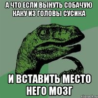 а что если вынуть собачую каку из головы сусика и вставить место него мозг