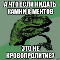 А что если кидать камни в ментов Это не кровопролитие?