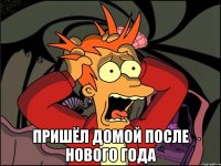  пришёл домой после нового года