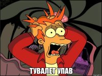  тувалет упав