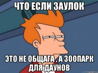 что если заулок это не общага , а зоопарк для даунов