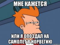 Мне кажется Или Я опоздал на самолет в Норвегию