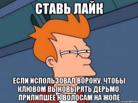 Ставь лайк Если использовал ворону, чтобы клювом выковырять дерьмо, прилипшее к волосам на жопе