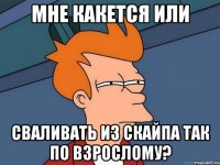 Мне какется или сваливать из скайпа так по взрослому?