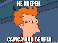 НЕ УВЕРЕН, САМСА ИЛИ БЕЛЯШ