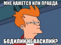 Мне кажется или правда Бодилий не Василий?