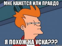 мне кажется или правдо я похож на уска???