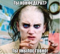 ты конфедерат? ты унылое говно!