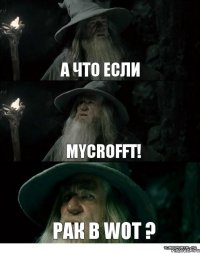 А что если Mycrofft! РАК в WOT ?