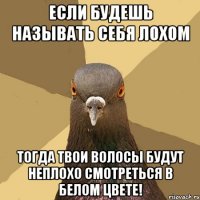 Если Будешь называть себя лохом Тогда твои волосы будут неплохо смотреться в белом цвете!