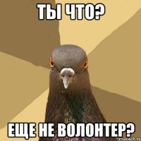 Ты что? Еще не волонтер?