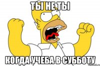 ты не ты когда учеба в субботу