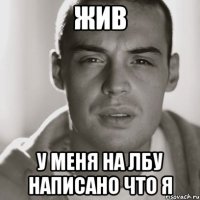 ЖИВ У меня на лбу написано Что я