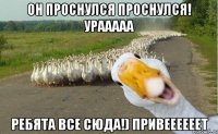 Он проснулся проснулся! Урааааа Ребята все сюда!) привеееееет