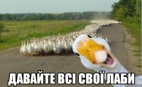  давайте всі свої лаби