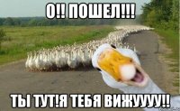 О!! Пошел!!! Ты тут!Я тебя вижуууу!!