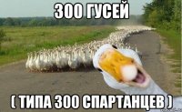 300 гусей ( типа 300 спартанцев )