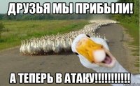 ДРУЗЬЯ МЫ ПРИБЫЛИ! А ТЕПЕРЬ В АТАКУ!!!!!!!!!!!