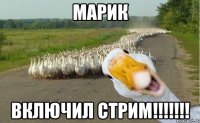 Марик Включил стрим!!!!!!!