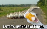  А что ты купила в автобус?