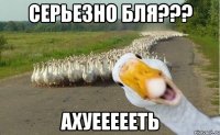 Серьезно бля??? Ахуеееееть