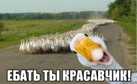  Ебать ты красавчик!