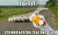 Ты тут? Это моя братва, тебе пиздец!