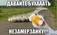 Давайте бухааать незамерзайку!!!