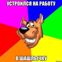 устроился на работу в шашлычку