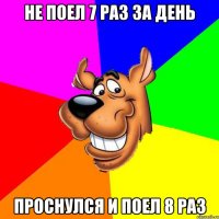 не поел 7 раз за день проснулся и поел 8 раз