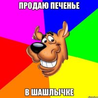 продаю печенье в шашлычке