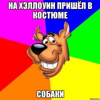 на хэллоуин пришёл в костюме собаки