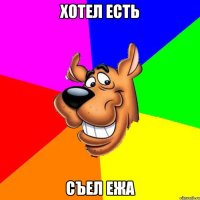 хотел есть съел ежа