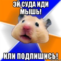 Эй суда иди МЫШЬ! Или Подпишись!