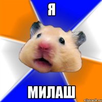 я милаш