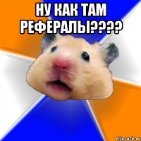 ну как там рефералы???? 