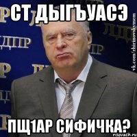 Ст дыгъуасэ пщ1ар Сифичка?