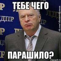 ТЕБЕ ЧЕГО ПАРАШИЛО?