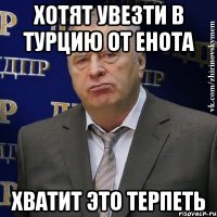 хотят увезти в Турцию от енота хватит это терпеть