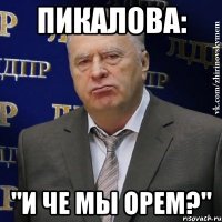 Пикалова: "И ЧЕ МЫ ОРЕМ?"