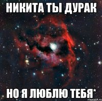 никита ты дурак но я люблю тебя*