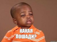 Какая лошади?