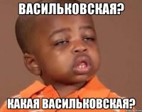 Васильковская? какая васильковская?